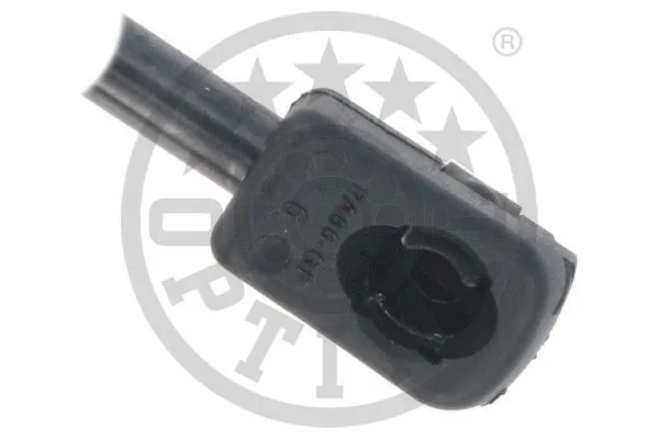 Gas Spring, boot/cargo area