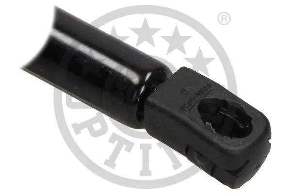 Gas Spring, boot/cargo area