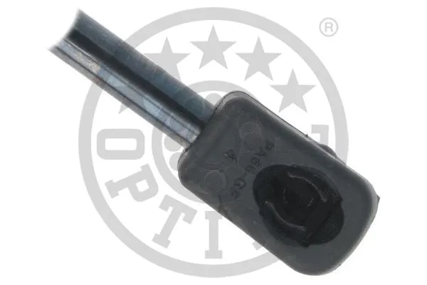Gas Spring, boot/cargo area