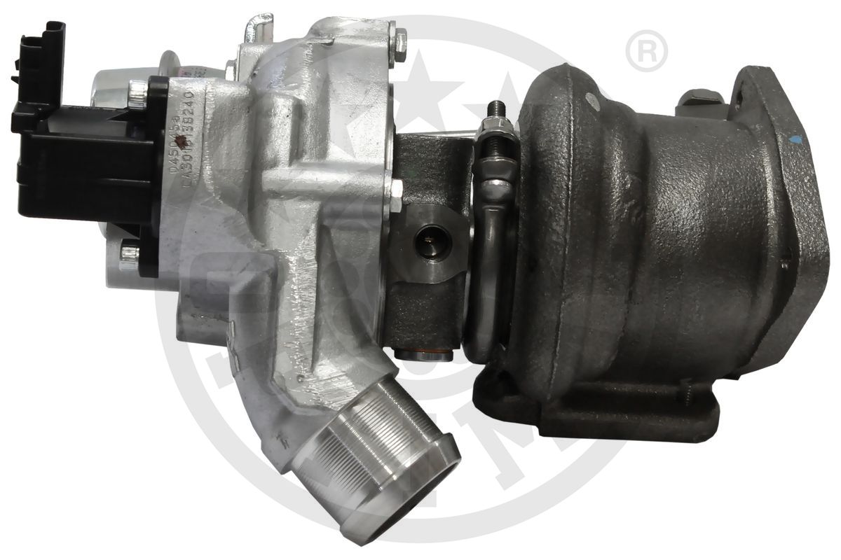 Charger, charging (supercharged/turbocharged)