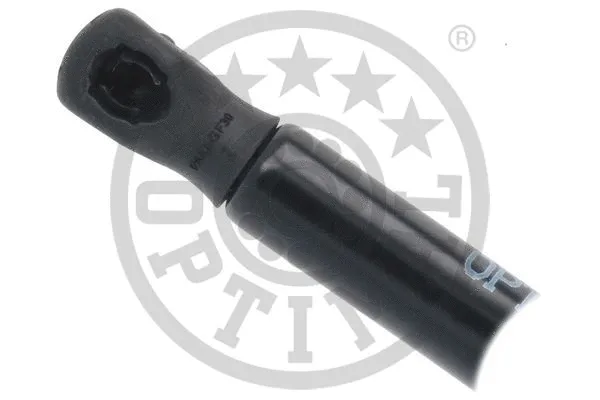 Gas Spring, boot/cargo area