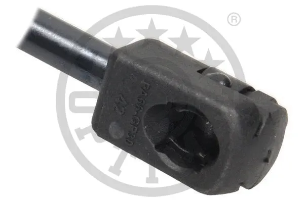 Gas Spring, boot/cargo area