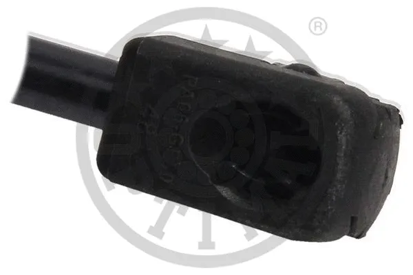 Gas Spring, boot/cargo area