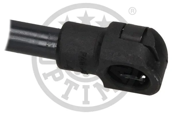 Gas Spring, boot/cargo area