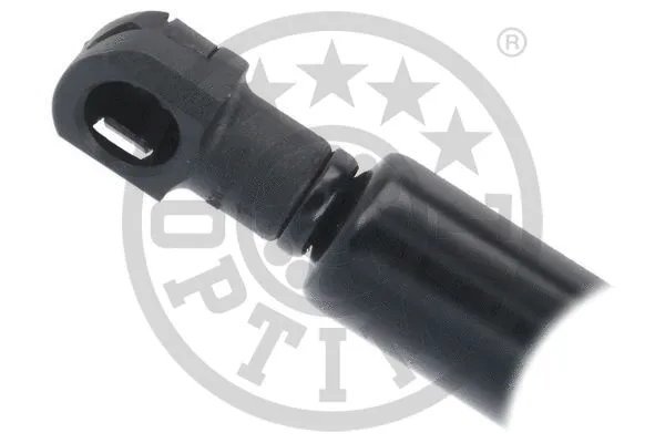 Gas Spring, boot/cargo area