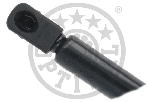 Gas Spring, boot/cargo area