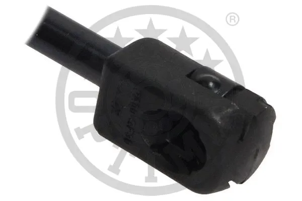 Gas Spring, boot/cargo area