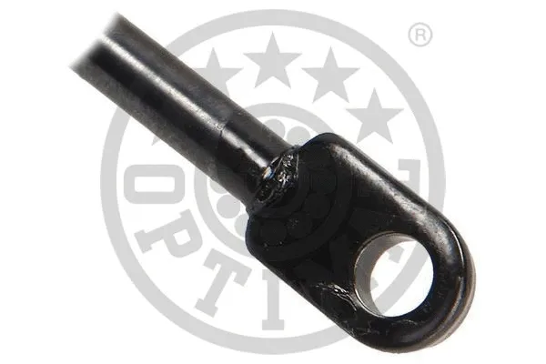 Gas Spring, boot/cargo area