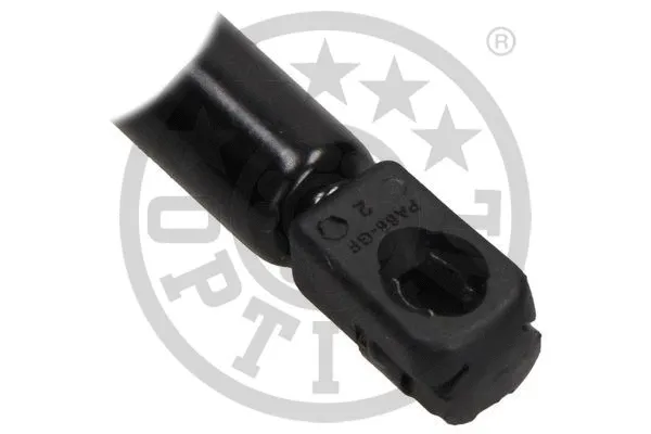 Gas Spring, boot/cargo area