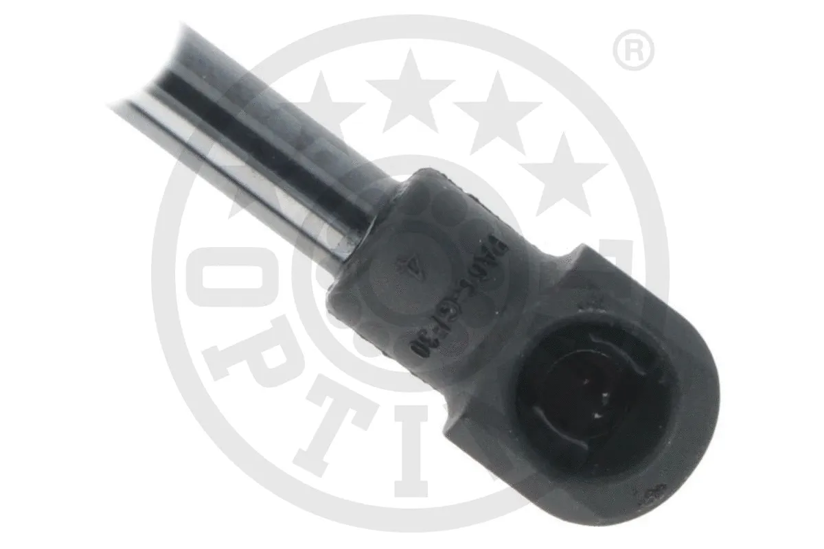 Gas Spring, boot/cargo area