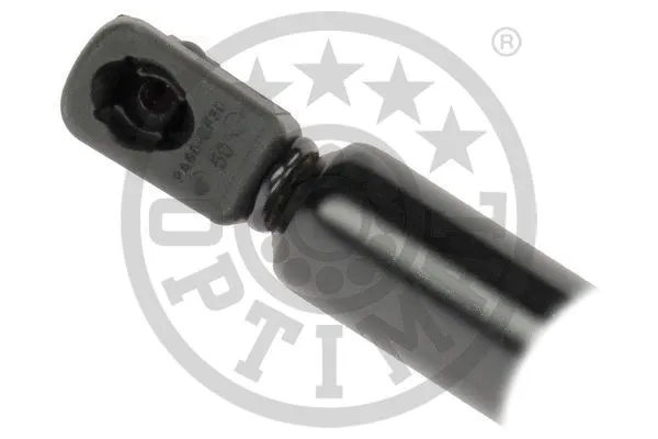 Gas Spring, boot/cargo area