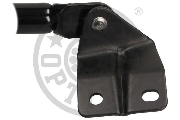 Gas Spring, boot/cargo area