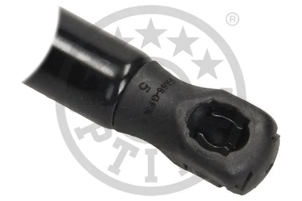 Gas Spring, boot/cargo area