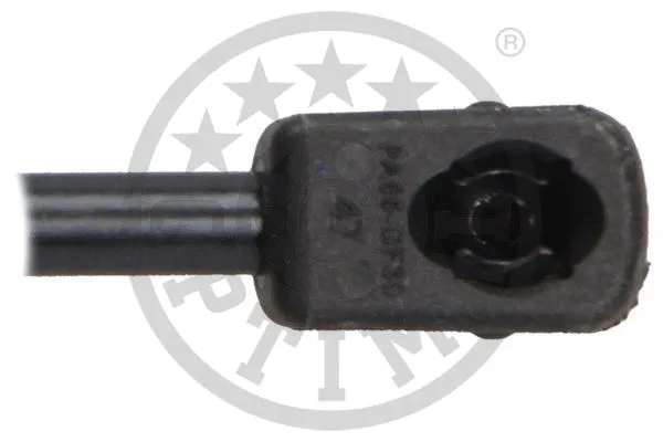 Gas Spring, boot/cargo area