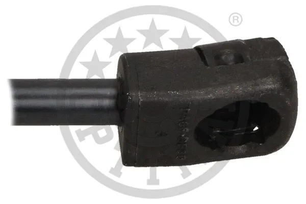 Gas Spring, boot/cargo area