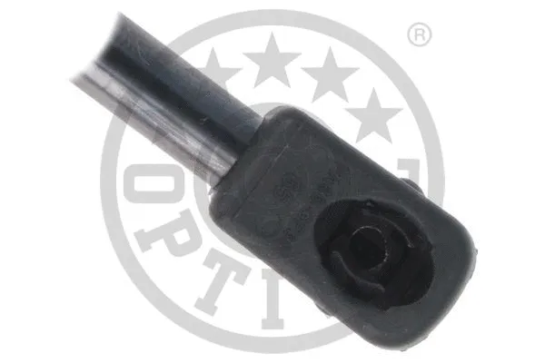 Gas Spring, boot/cargo area