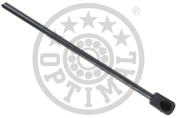 Gas Spring, boot/cargo area