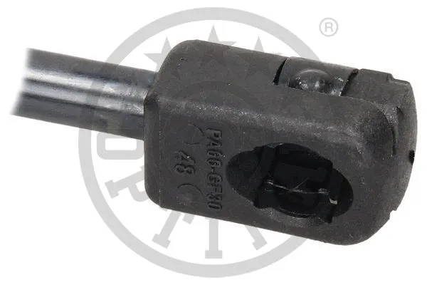 Gas Spring, boot/cargo area