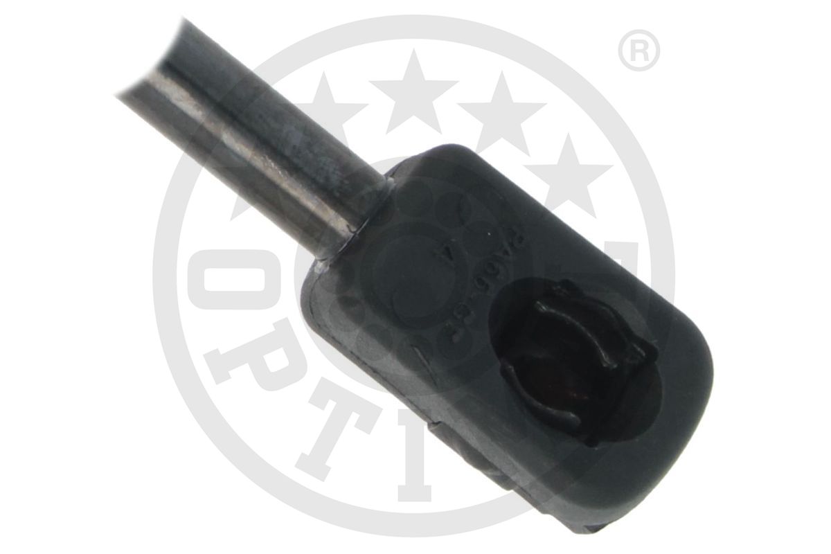 Gas Spring, boot/cargo area