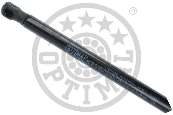 Gas Spring, boot/cargo area