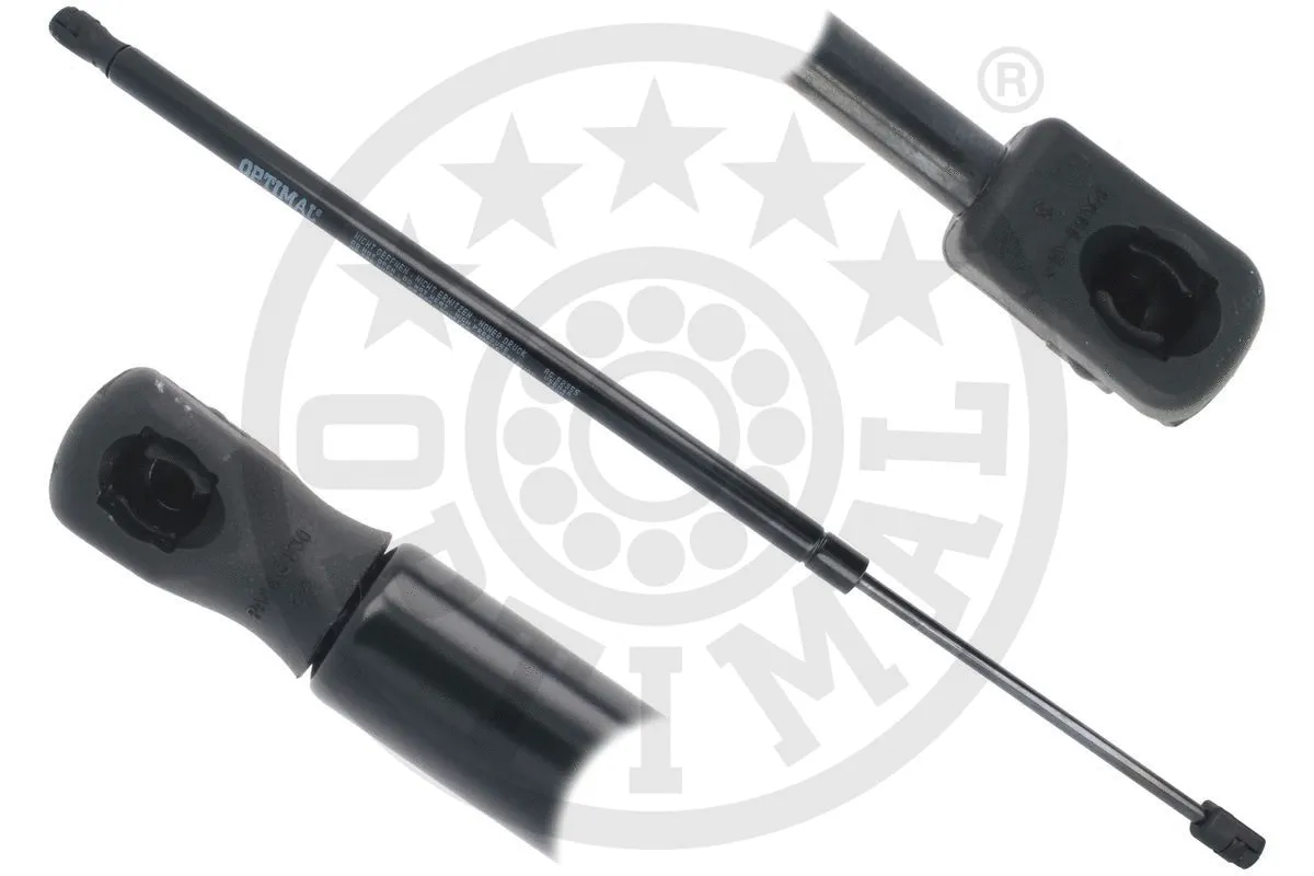 Gas Spring, boot/cargo area (AG-52355)