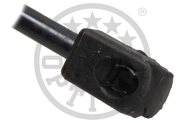 Gas Spring, boot/cargo area