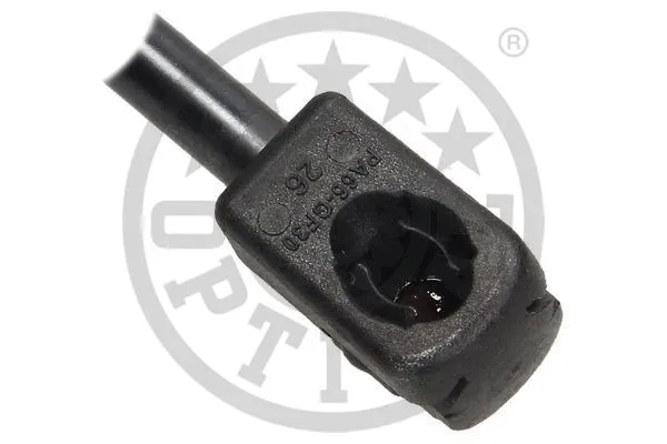 Gas Spring, boot/cargo area