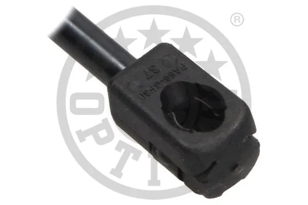 Gas Spring, boot/cargo area