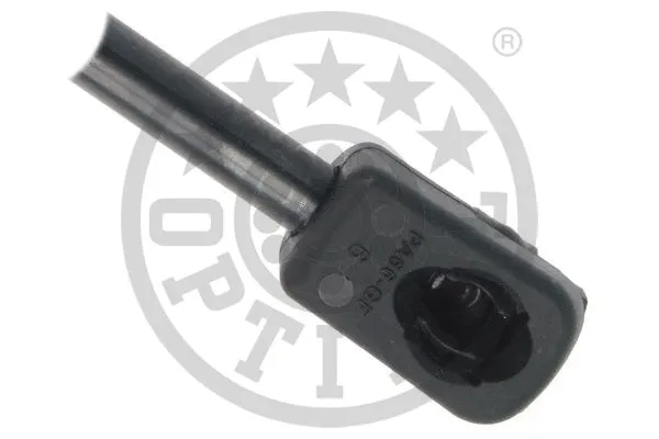 Gas Spring, boot/cargo area