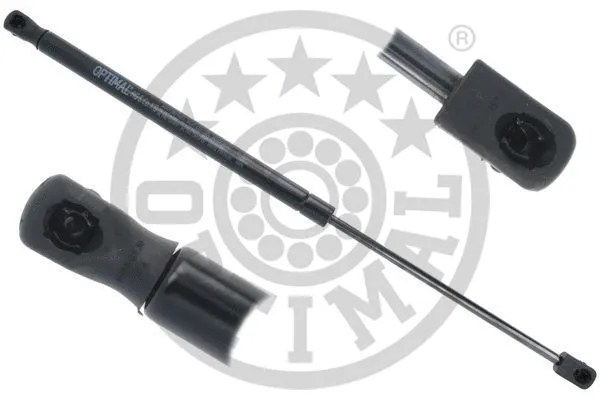 Gas Spring, boot/cargo area (AG-52349)