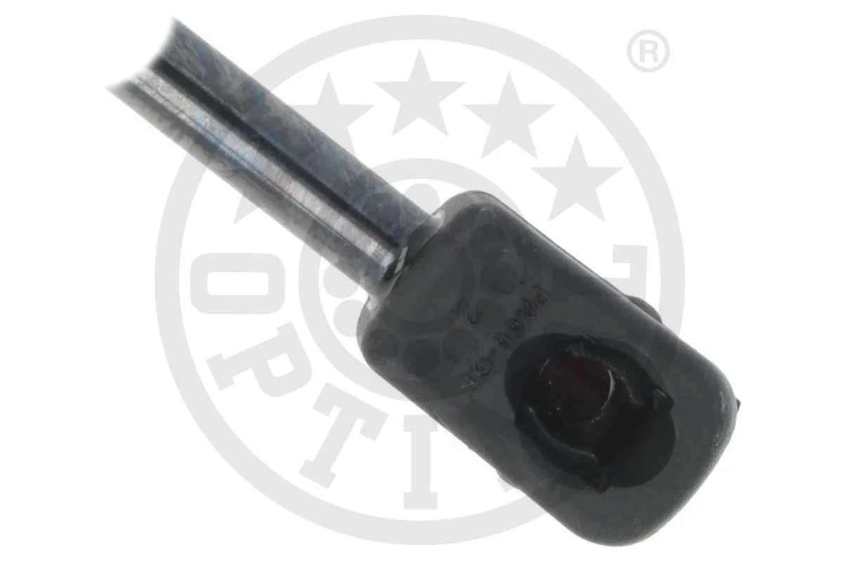 Gas Spring, tailboard (pickup tailgate)