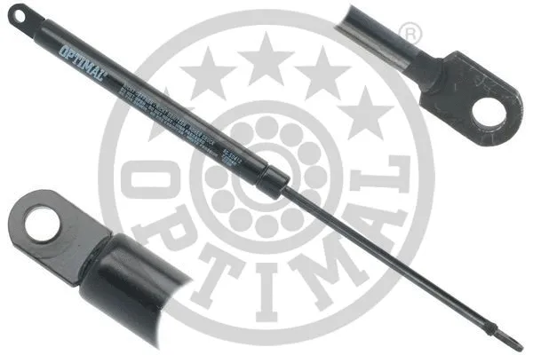 Gas Spring, boot/cargo area (AG-50412)