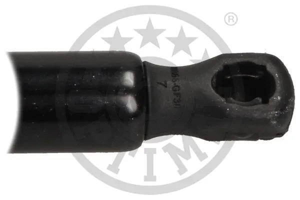 Gas Spring, boot/cargo area