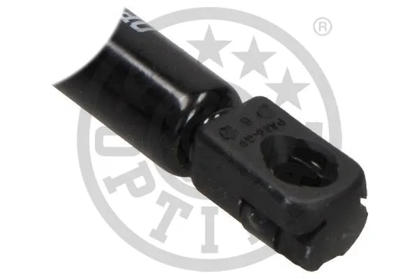 Gas Spring, boot/cargo area