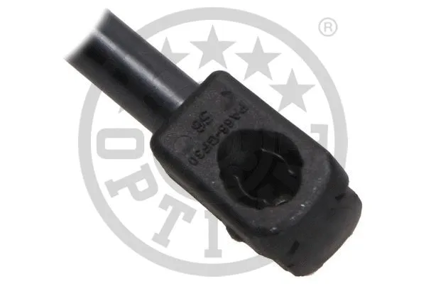 Gas Spring, boot/cargo area