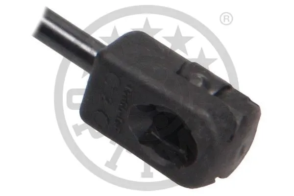 Gas Spring, boot/cargo area