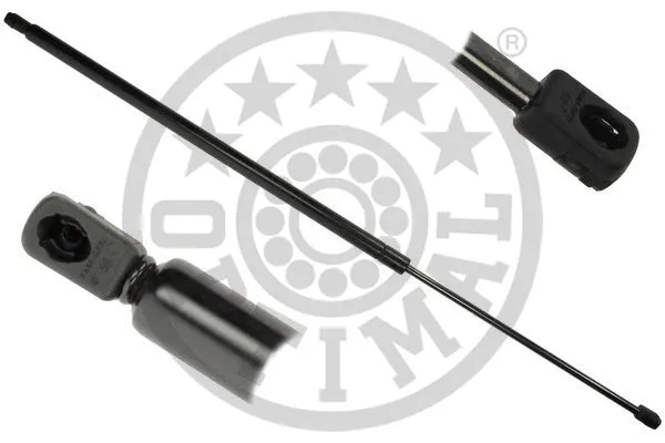 Gas Spring, boot/cargo area (AG-52163)