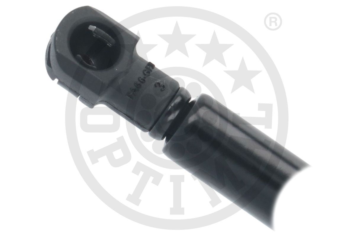 Gas Spring, boot/cargo area