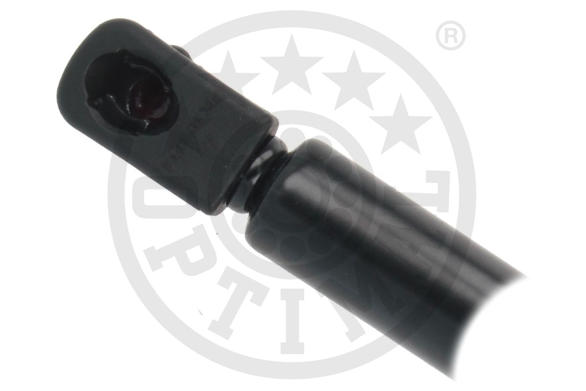 Gas Spring, boot/cargo area