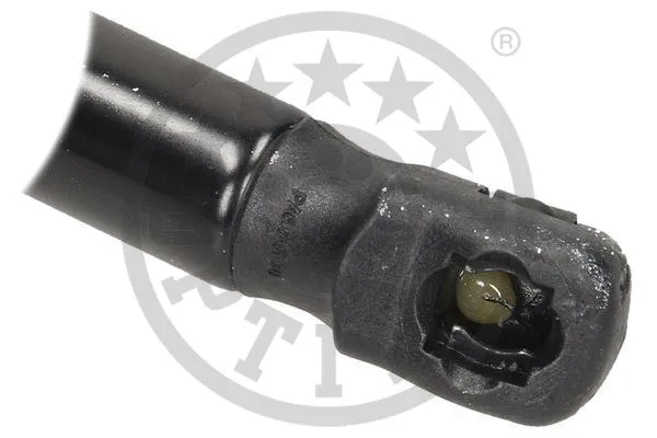 Gas Spring, boot/cargo area