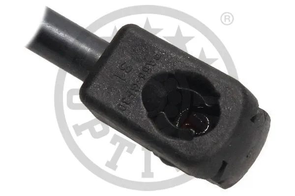 Gas Spring, boot/cargo area