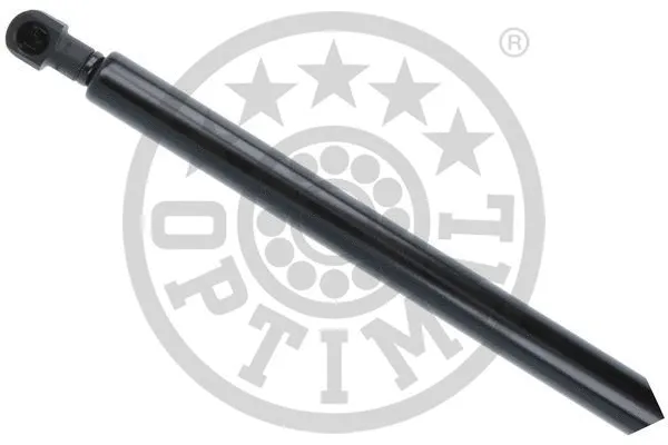 Gas Spring, boot/cargo area