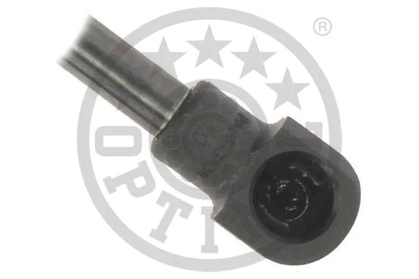 Gas Spring, boot/cargo area