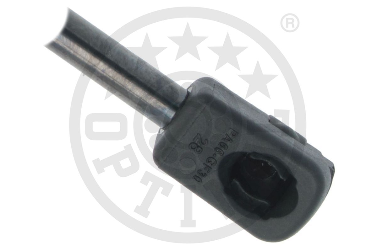 Gas Spring, boot/cargo area