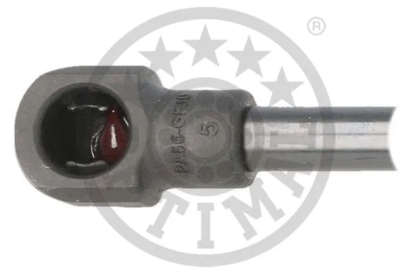 Gas Spring, boot/cargo area