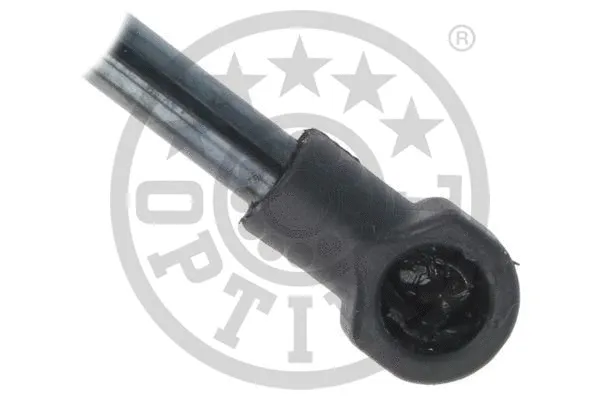 Gas Spring, boot/cargo area