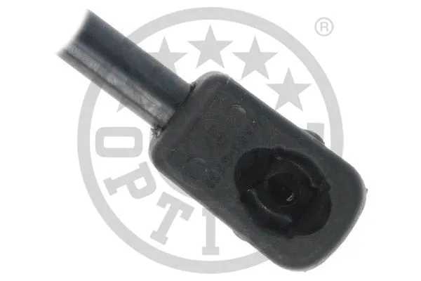 Gas Spring, boot/cargo area