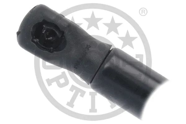 Gas Spring, boot/cargo area