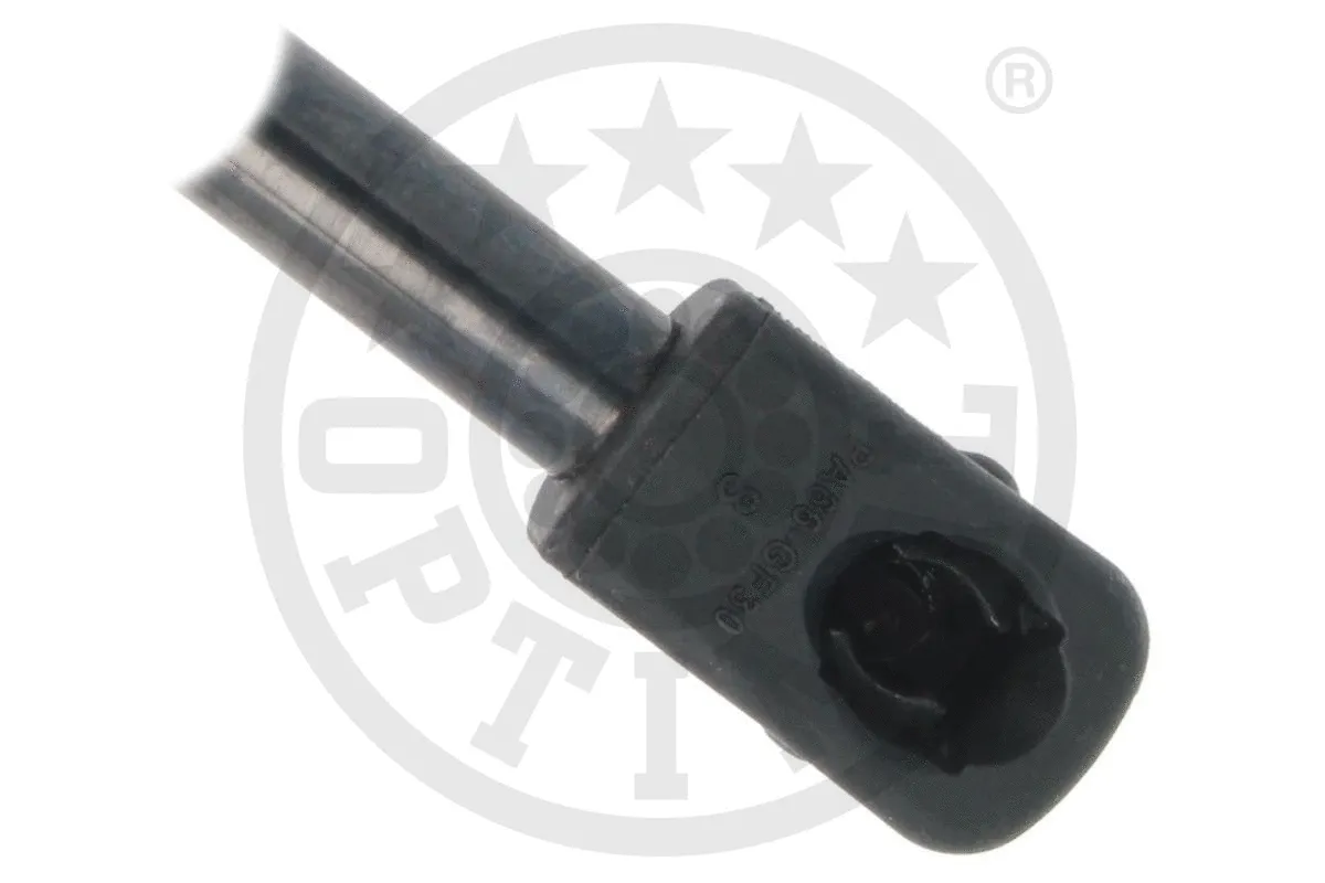 Gas Spring, boot/cargo area