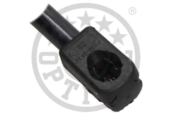 Gas Spring, boot/cargo area